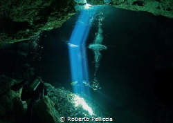 Cenote by Roberto Pelliccia 
